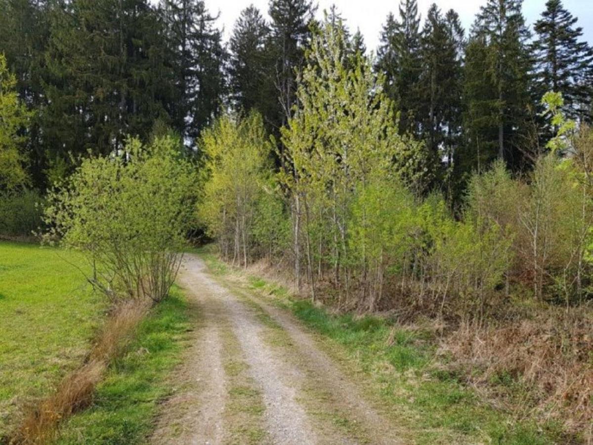 Ferienappartement Am Nadenberg Lindenberg im Allgäu Exterior foto